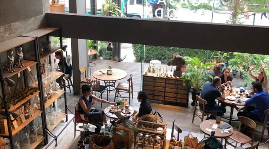 ไม่ใช่แค่นั่งชิลล์! ส่องคาเฟ่ Pet-Friendly ที่มีโซนให้น้องวิ่งเล่น
