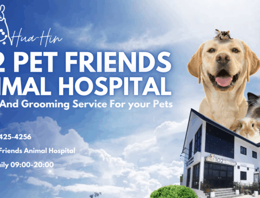 102 Pet Friends Animal Hospital - โรงพยาบาลสัตว์ 102 เพ็ท เฟรนด์