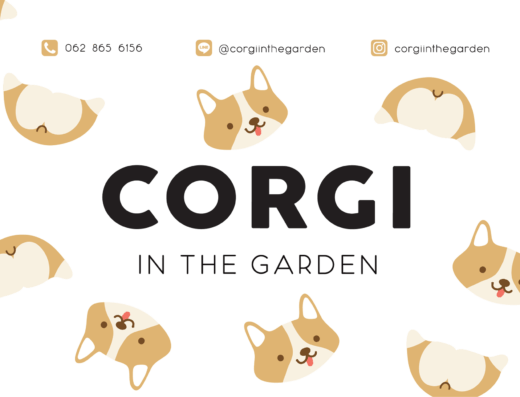 CORGI IN THE GARDEN คาเฟ่หมาคอร์กี้