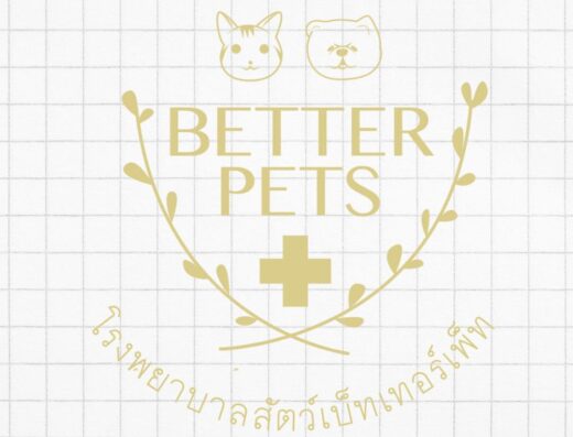 Better Pets Hospital