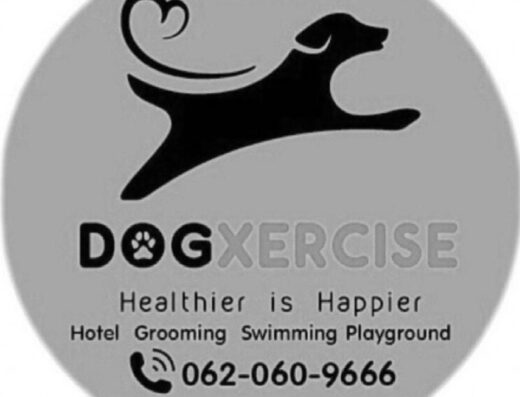 Dogxercise