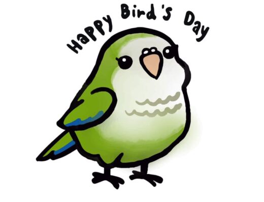 Happy Bird’s Day