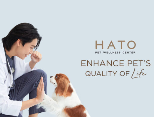 Hato Pet Wellness Center