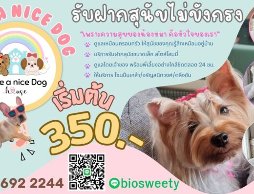 Have a nice Dog House