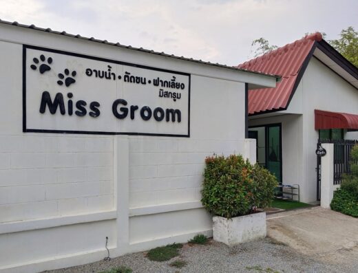 MissGroom : Dog&Cat Grooming