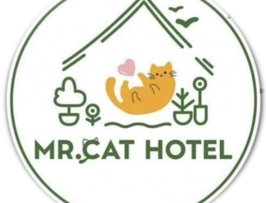 Mr.Cat Hotel Pattaya