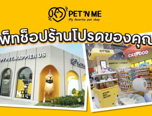 PET 'N ME Central Westgate (เพ็ทแอนด์มี เซ็นทรัลเวสต์เกต) ชั้น1 โซนแฟชั่นพลัส