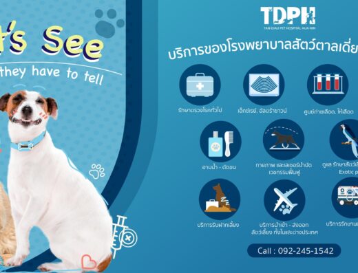 Tan-diau Pet Hospital โรงพยาบาลสัตว์ ตาลเดี่ยว หัวหิน