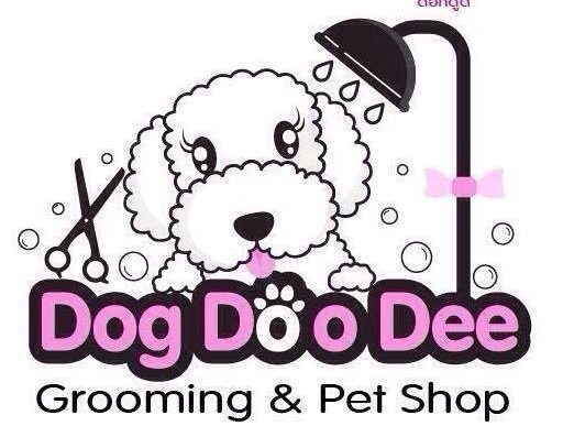 dogdoodee ตัดขนสุนัข เชียงใหม่