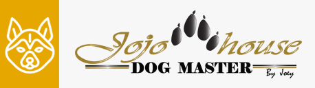 ครูโจอี้ ด๊อก มาสเตอร์ Joeydogmaster