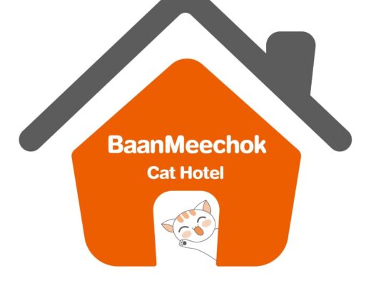 รับฝากแมว เชียงใหม่ โรงแรมแมว บ้านแมวมีโชค cat hotel