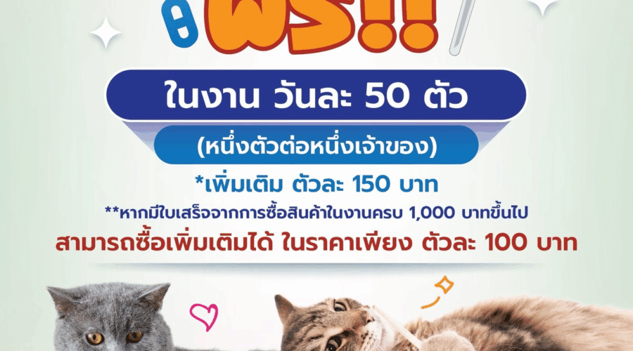 ฝังไมโครชิปสำหรับแมว ฟรี!