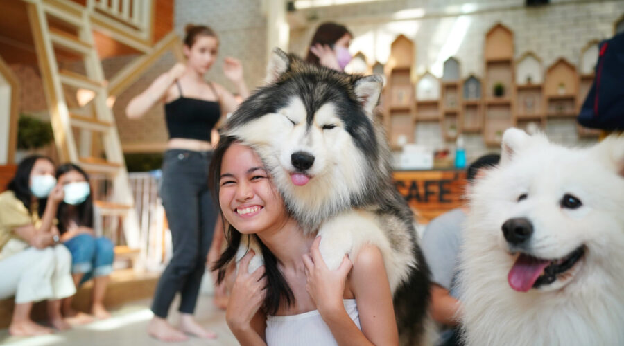 Fit & Furry! ไอเดียออกกำลังกายสุดครีเอทกับน้องหมา (น้องแมวก็แจมได้)