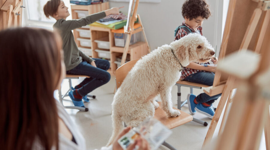 Check-in ด่วน! คาเฟ่ Pet-Friendly ใกล้ [ชื่อโรงแรม Pet-Friendly ในเครือข่ายของคุณ] พักสบายแล้วไปต่อคาเฟ่ชิคๆ